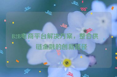 B2B電商平臺解決方案，整合供應(yīng)鏈金融的創(chuàng)新路徑