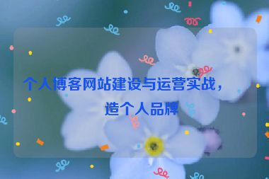個人博客網站建設與運營實戰(zhàn)，打造個人品牌