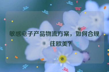 敏感電子產(chǎn)品物流方案，如何合規(guī)發(fā)往歐美？