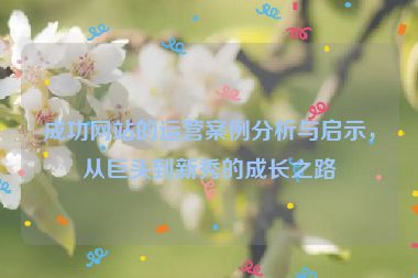 成功網(wǎng)站的運營案例分析與啟示，從巨頭到新秀的成長之路
