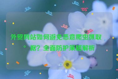 外貿網站如何避免惡意爬蟲抓取數(shù)據？全面防護策略解析