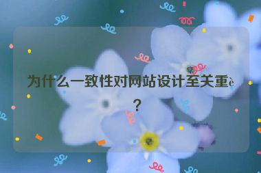 為什么一致性對網站設計至關重要？