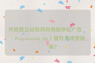外貿(mào)獨(dú)立站如何利用程序化廣告（Programmatic Ads）提升全球營(yíng)銷效果？