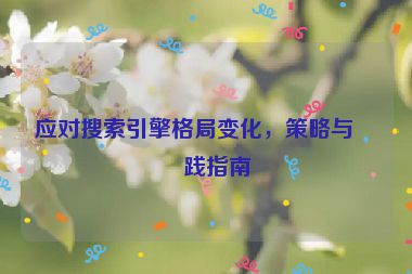 應(yīng)對(duì)搜索引擎格局變化，策略與實(shí)踐指南
