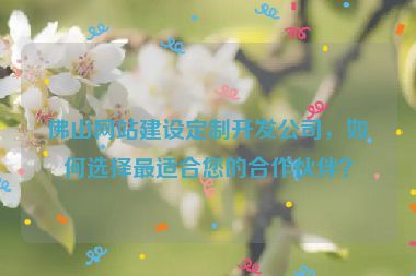 佛山網(wǎng)站建設(shè)定制開發(fā)公司，如何選擇最適合您的合作伙伴？