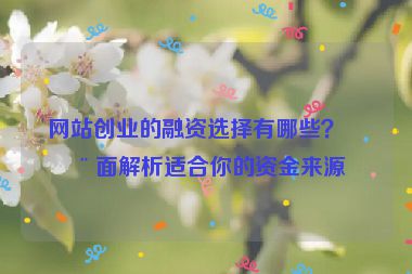網(wǎng)站創(chuàng)業(yè)的融資選擇有哪些？全面解析適合你的資金來源