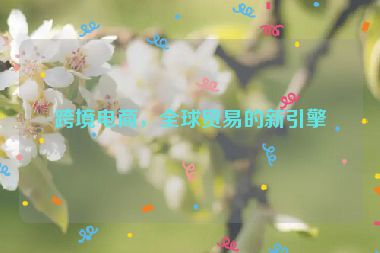 跨境電商，全球貿(mào)易的新引擎