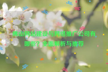 佛山網(wǎng)站建設(shè)與網(wǎng)絡(luò)推廣公司有哪些？全面解析與推薦