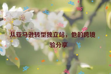 從亞馬遜轉(zhuǎn)型獨立站，他的跨境經(jīng)驗分享