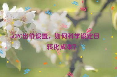oCPC出價設(shè)置，如何科學(xué)設(shè)定目標(biāo)轉(zhuǎn)化成本？