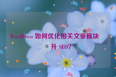 WordPress 如何優(yōu)化相關(guān)文章模塊提升 SEO？