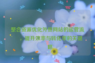 整合資源優(yōu)化外貿(mào)網(wǎng)站的運營流程，提升效率與轉(zhuǎn)化率的關(guān)鍵策略