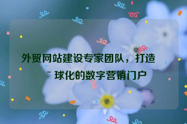 外貿(mào)網(wǎng)站建設(shè)專家團(tuán)隊，打造全球化的數(shù)字營銷門戶