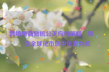 跨境電商危機(jī)公關(guān)應(yīng)對策略，如何在全球化市場中化危為機(jī)
