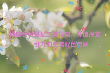 網(wǎng)站色彩搭配工具指南，打造視覺吸引力的完美配色方案