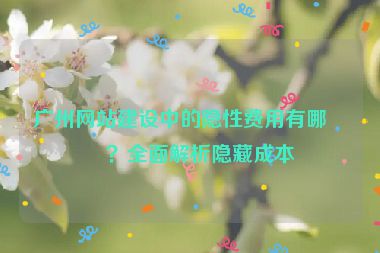 廣州網站建設中的隱性費用有哪些？全面解析隱藏成本