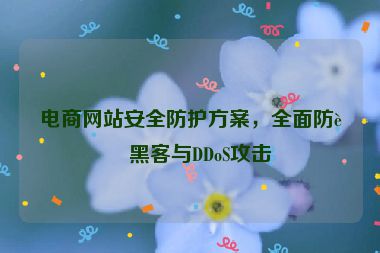電商網(wǎng)站安全防護(hù)方案，全面防范黑客與DDoS攻擊