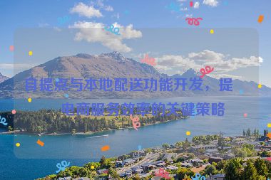 自提點與本地配送功能開發(fā)，提升電商服務(wù)效率的關(guān)鍵策略