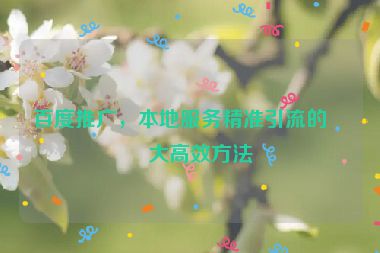 百度推廣，本地服務(wù)精準(zhǔn)引流的五大高效方法