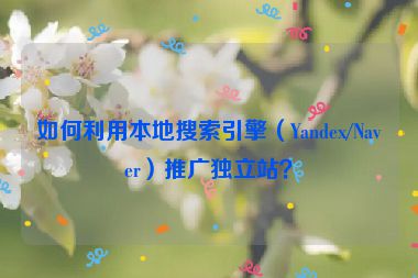 如何利用本地搜索引擎（Yandex/Naver）推廣獨立站？
