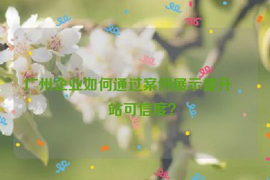 廣州企業(yè)如何通過案例展示提升網(wǎng)站可信度？