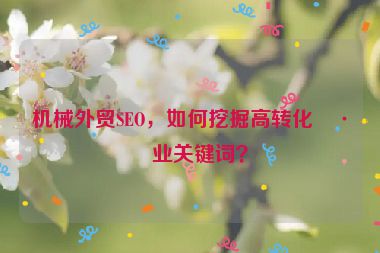機(jī)械外貿(mào)SEO，如何挖掘高轉(zhuǎn)化工業(yè)關(guān)鍵詞？