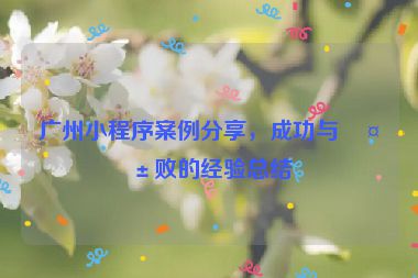 廣州小程序案例分享,成功與失敗的經(jīng)驗總結(jié)