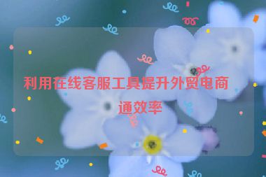 利用在線客服工具提升外貿(mào)電商溝通效率