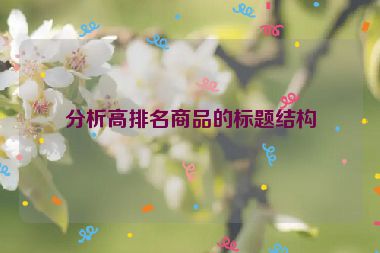 分析高排名商品的標題結構