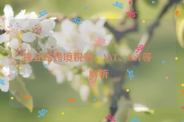 獨立站跨境稅務，VAT、GST等全解析