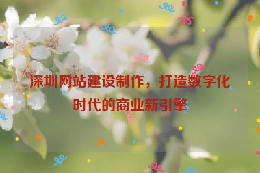 深圳網(wǎng)站建設(shè)制作，打造數(shù)字化時代的商業(yè)新引擎