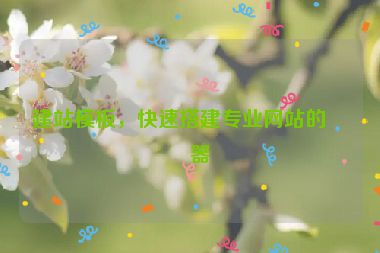 建站模板，快速搭建專業(yè)網(wǎng)站的利器
