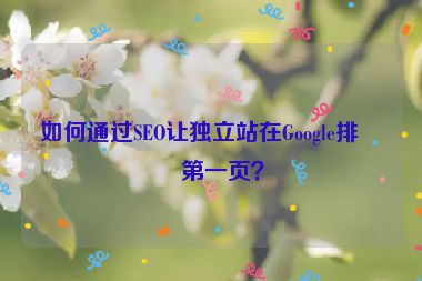 如何通過SEO讓獨立站在Google排名第一頁？