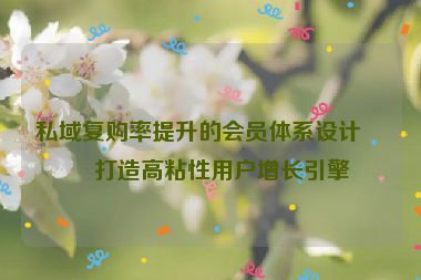 私域復購率提升的會員體系設(shè)計，打造高粘性用戶增長引擎