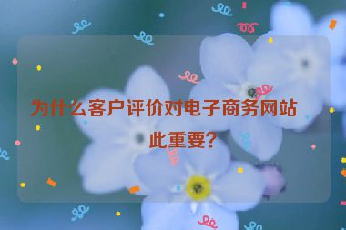 為什么客戶評價(jià)對電子商務(wù)網(wǎng)站如此重要？