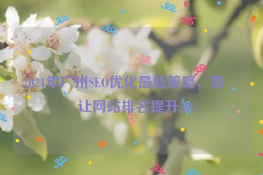 2024年廣州SEO優(yōu)化最新策略，如何讓網(wǎng)站排名提升50%