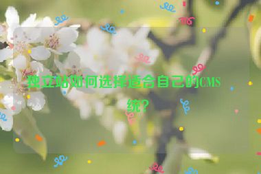 獨立站如何選擇適合自己的CMS系統(tǒng)？