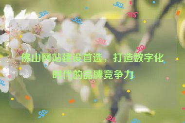 佛山網(wǎng)站建設(shè)首選，打造數(shù)字化時代的品牌競爭力