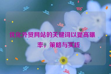 優(yōu)化外貿(mào)網(wǎng)站的關(guān)鍵詞以提高曝光率，策略與實踐