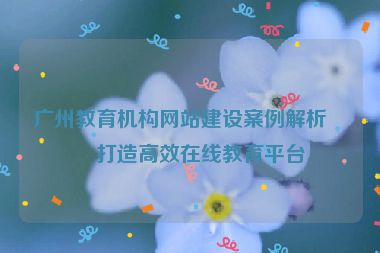 廣州教育機(jī)構(gòu)網(wǎng)站建設(shè)案例解析，打造高效在線教育平臺