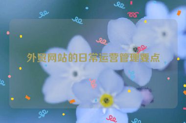 外貿(mào)網(wǎng)站的日常運(yùn)營(yíng)管理要點(diǎn)