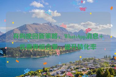 棄購(gòu)?fù)旎匦虏呗?，WhatsApp消息+優(yōu)惠券組合拳，提升轉(zhuǎn)化率