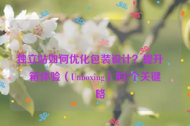 獨(dú)立站如何優(yōu)化包裝設(shè)計(jì)？提升拆箱體驗(yàn)（Unboxing）的7個(gè)關(guān)鍵策略