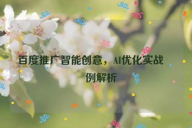 百度推廣智能創(chuàng)意，AI優(yōu)化實(shí)戰(zhàn)案例解析