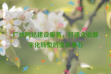 廣州網(wǎng)站建設(shè)服務(wù)，打造企業(yè)數(shù)字化轉(zhuǎn)型的堅(jiān)實(shí)基石