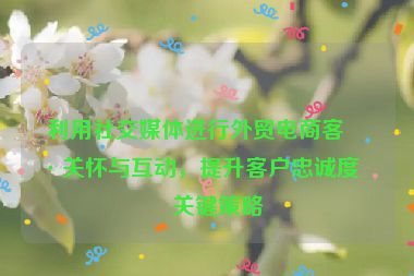 利用社交媒體進行外貿(mào)電商客戶關(guān)懷與互動，提升客戶忠誠度的關(guān)鍵策略