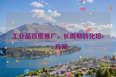 工業(yè)品百度推廣，長周期轉化培育方案