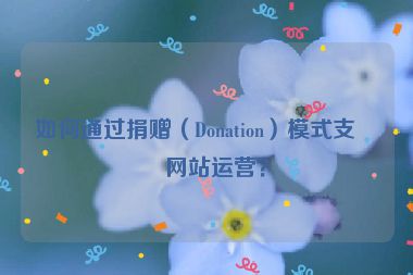如何通過(guò)捐贈(zèng)（Donation）模式支持網(wǎng)站運(yùn)營(yíng)？