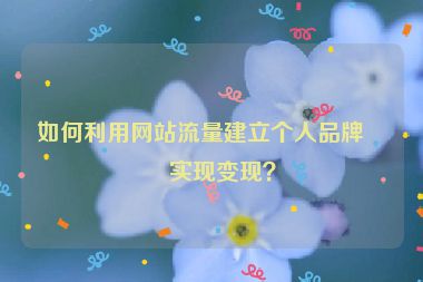 如何利用網(wǎng)站流量建立個(gè)人品牌并實(shí)現(xiàn)變現(xiàn)？