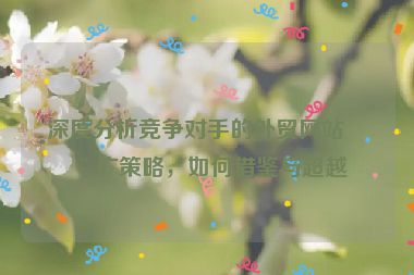 深度分析競(jìng)爭(zhēng)對(duì)手的外貿(mào)網(wǎng)站推廣策略，如何借鑒與超越